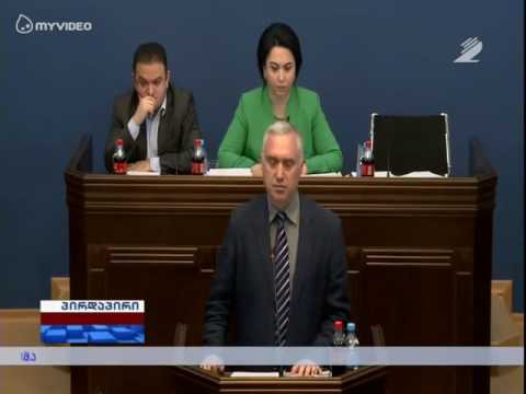 ზვიად ძიძიგურის მოხსენება ქორწინების შესახებ კანონპროექტთან დაკავშირებით